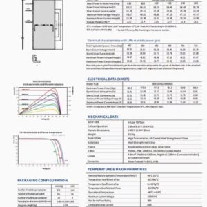 Panel Solar Risen RSM156-9-640W – Bifacial Monocristalino